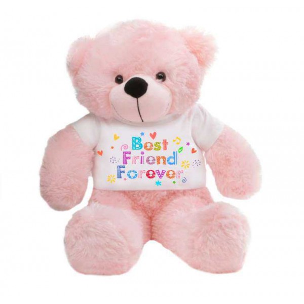 Pink 2 feet Big Teddy Bear wearing a Best Friend Forever T-shirt